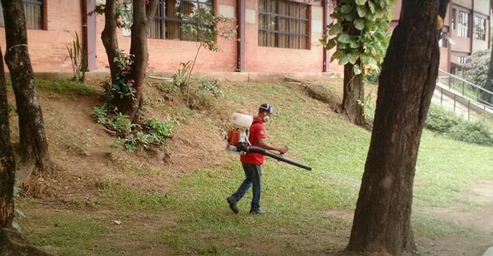 Técnico com pulverizador costal em jardim